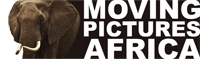 Moving Pictures Africa
