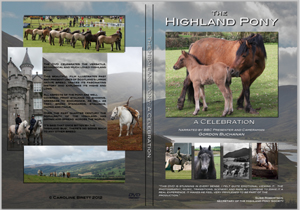 The Highland Pony: A Celebration