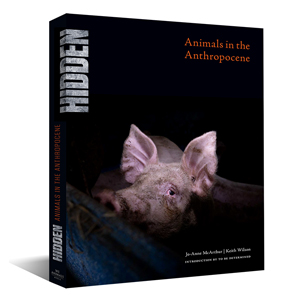 HIDDEN: Animals in the Anthropocene