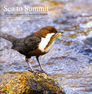 Sea to Summit: One Man's Pleasure in Scotland's Wildlife