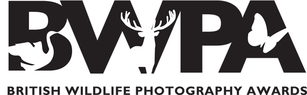 British Wildlife Photography Awards