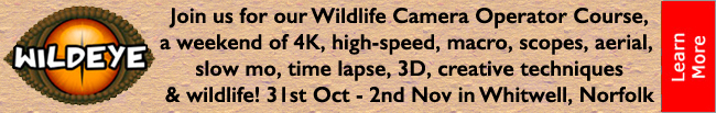 Wildeye Wildlife Camera Operator Course