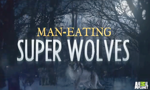 Man-Eating Super Wolves by Animal Planet